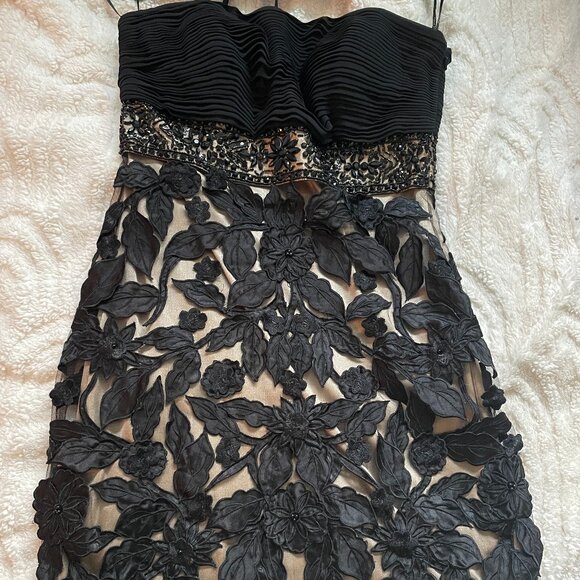 Stunning Sue Wong Strapless Dress Sz 6 - Picture 1 of 3